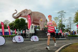 BIB: 
                            <button type="button" onclick="openModal(26529078)" class="btn btn-primary btn-sm float-right btn-popup" data-toggle="modal" data-target=".modal-high-quality">
                        <i class="fas fa-shopping-cart"></i> Add to Cart
                    </button>
                                            <button type="button" onclick="isThisMe(26529078, true)" class="btn btn-success btn-sm float-right btn-popup btn-isme hidden" data-toggle="tooltip" data-placement="bottom" title="นี่คือรูปของคุณใช่ไหม คลิกที่นี่เพื่อเอาเข้าอัลบั้ม">
                        <i class="fas fa-plus"></i> Add to album
                    </button>
                    <button type="button" onclick="isThisMe(26529078, false)" class="btn btn-warning btn-sm float-right btn-popup btn-isnotme hidden">
                        <i class="fas fa-ban"></i> Remove from album
                    </button>